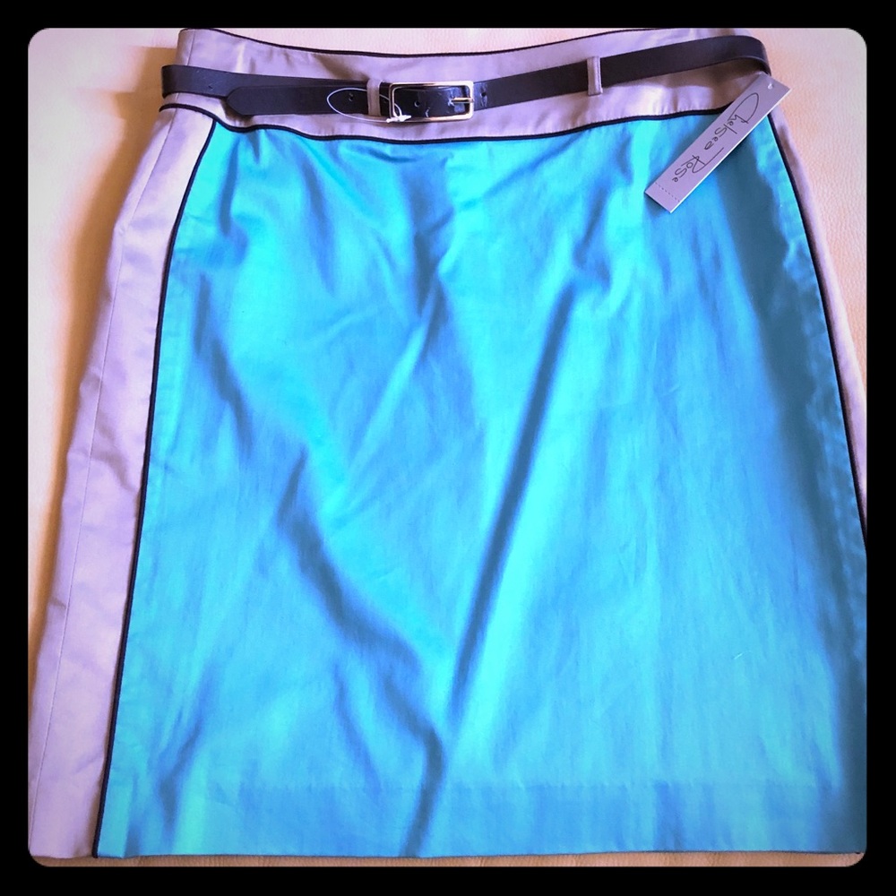 Chelsea Rose Color  Block Skirt